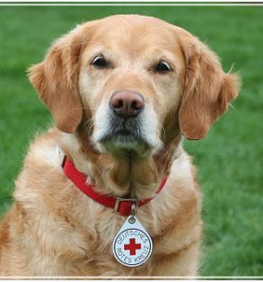 sinah april 2011 neu